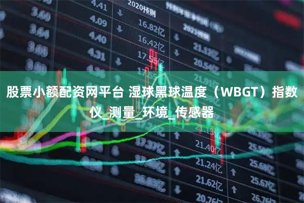 股票小额配资网平台 湿球黑球温度（WBGT）指数仪_测量_环境_传感器