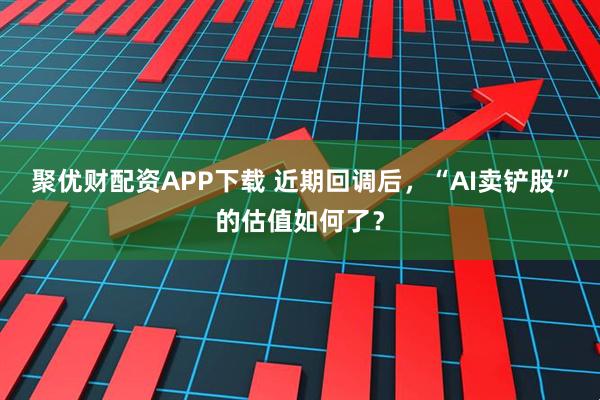 聚优财配资APP下载 近期回调后，“AI卖铲股”的估值如何了？