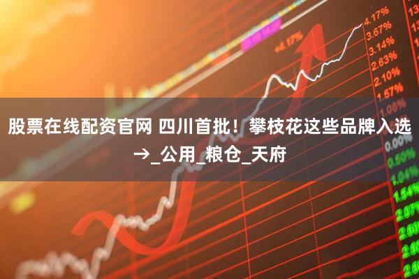 股票在线配资官网 四川首批！攀枝花这些品牌入选→_公用_粮仓_天府