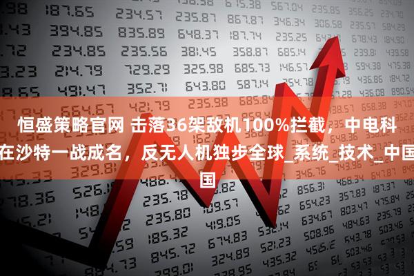 恒盛策略官网 击落36架敌机100%拦截，中电科在沙特一战成名，反无人机独步全球_系统_技术_中国